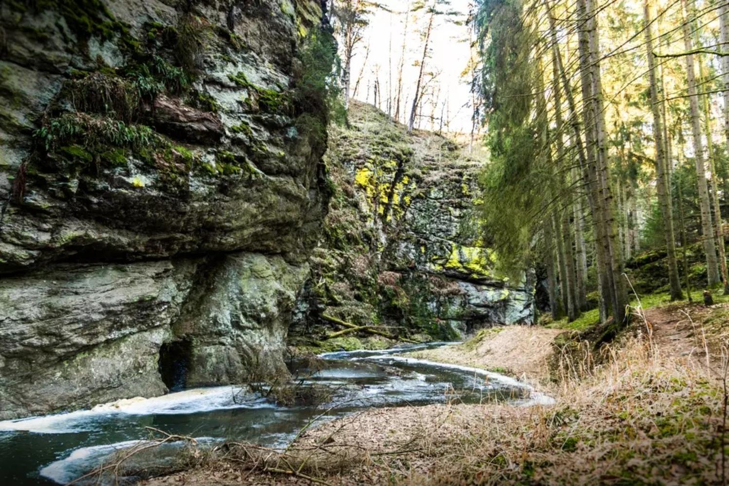 Вилла Wellness Srub U Holubu Malsice Экстерьер фото
